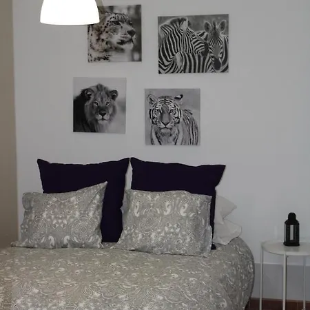 Loft Pinope Апартаменты *