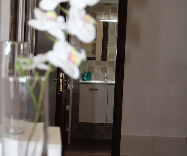 Loft Pinope Apartmán