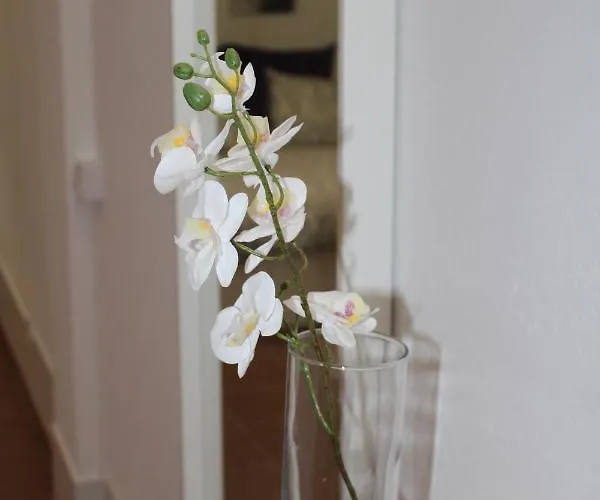 Loft Pinope Apartmán La Santa