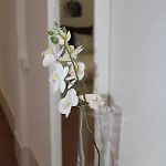 Loft Pinope 公寓 拉桑塔