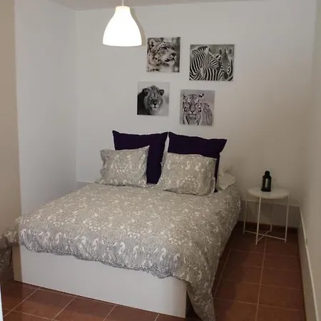 Loft Pinope *