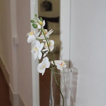 Loft Pinope Apartment La Santa