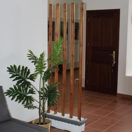 Loft Pinope Apartment *