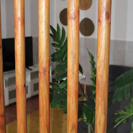 Apartment Loft Pinope *