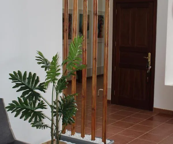 Loft Pinope דירה *