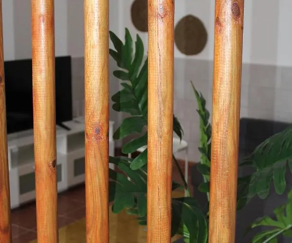 דירה Loft Pinope *