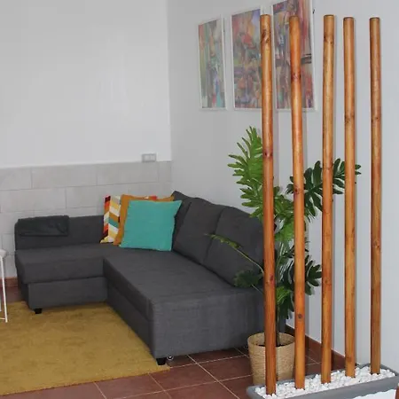 Loft Pinope Apartament *