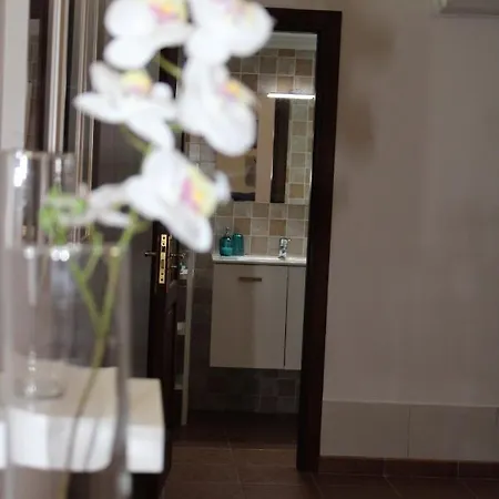 Loft Pinope Apartament